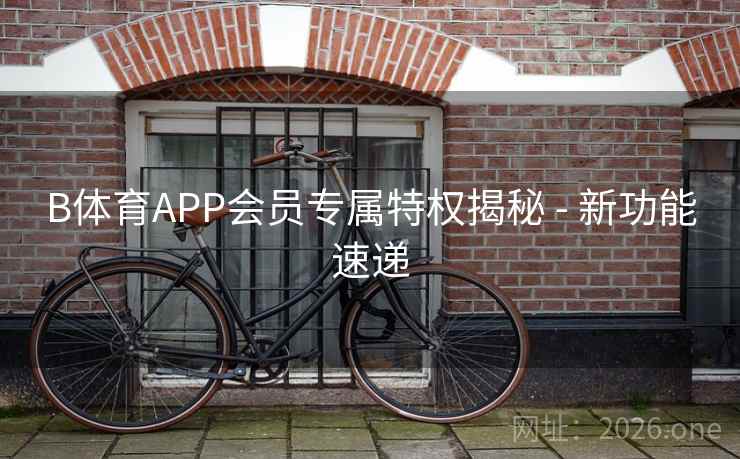B体育APP会员专属特权揭秘 - 新功能速递