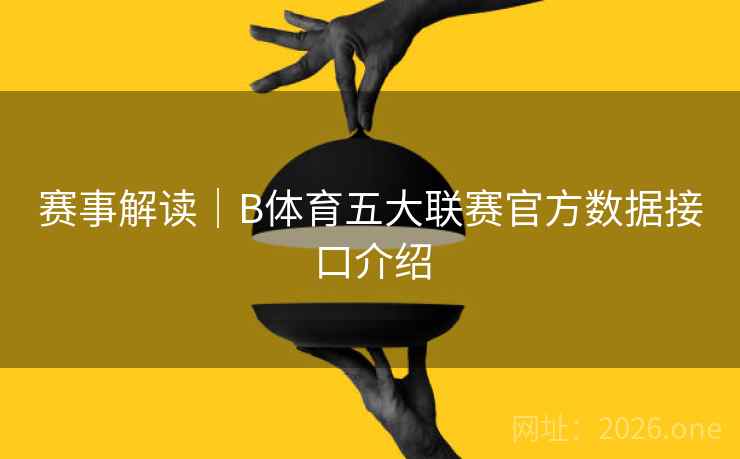 赛事解读｜B体育五大联赛官方数据接口介绍