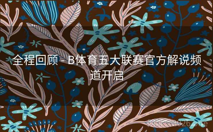 全程回顾 - B体育五大联赛官方解说频道开启