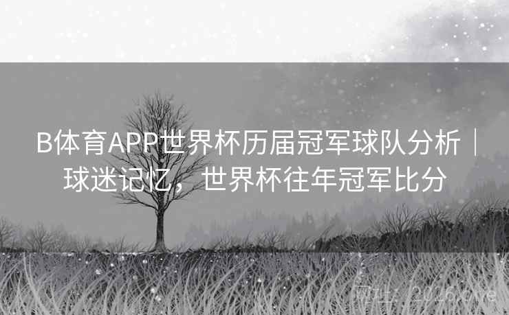 B体育APP世界杯历届冠军球队分析｜球迷记忆，世界杯往年冠军比分