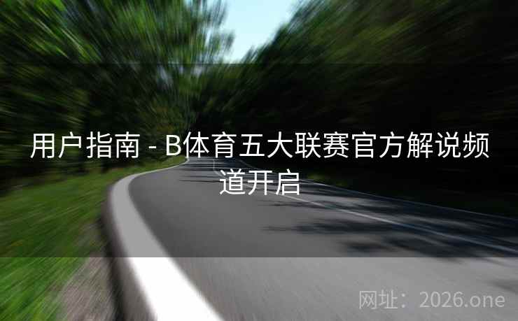 用户指南 - B体育五大联赛官方解说频道开启