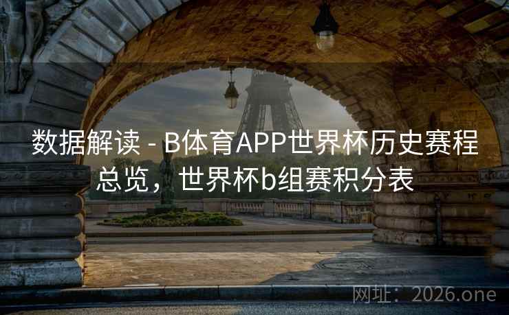 数据解读 - B体育APP世界杯历史赛程总览，世界杯b组赛积分表