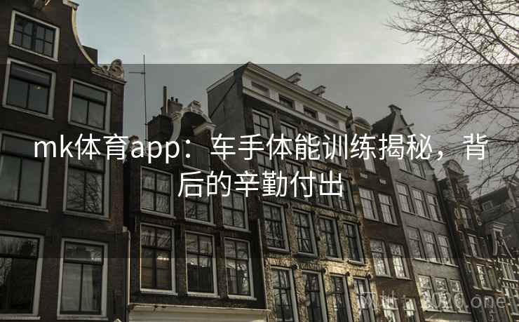 mk体育app：车手体能训练揭秘，背后的辛勤付出