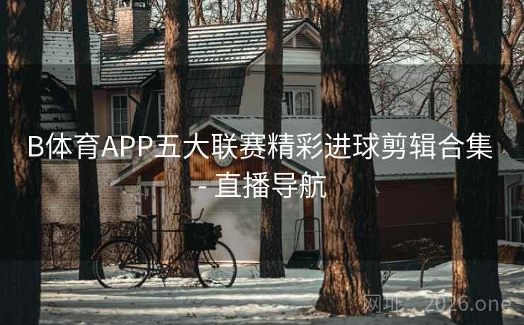 B体育APP五大联赛精彩进球剪辑合集 - 直播导航