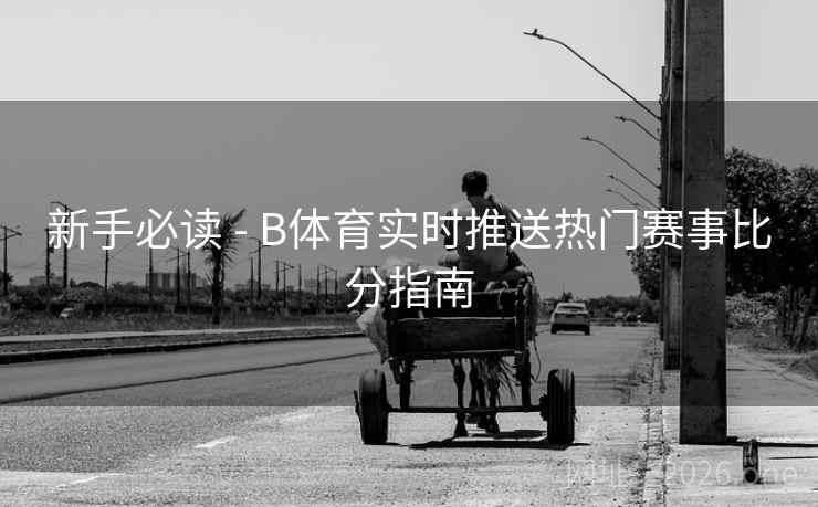 新手必读 - B体育实时推送热门赛事比分指南