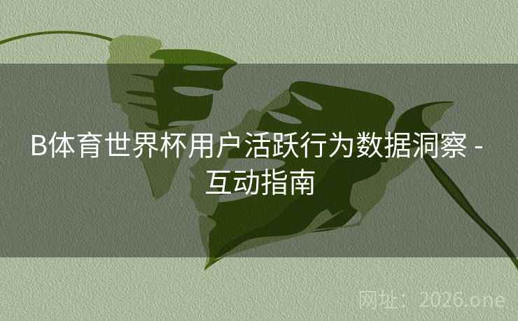 B体育世界杯用户活跃行为数据洞察 - 互动指南