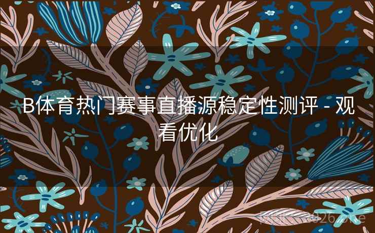 B体育热门赛事直播源稳定性测评 - 观看优化