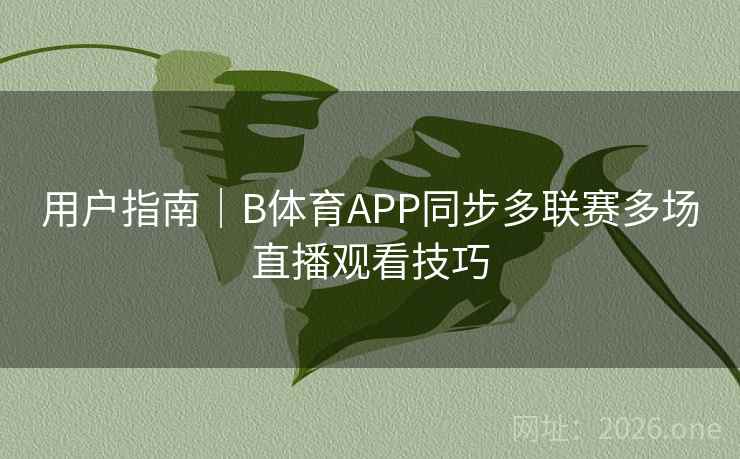 用户指南｜B体育APP同步多联赛多场直播观看技巧